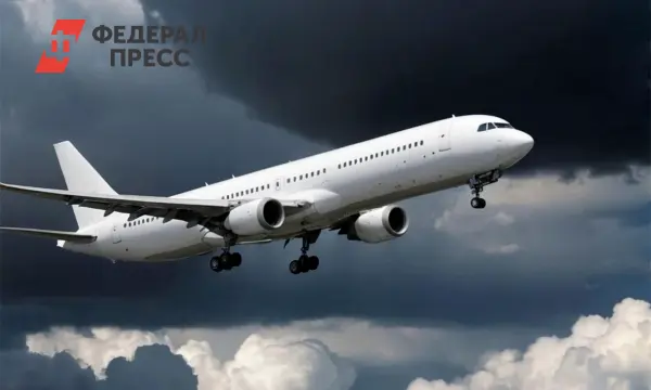 Совет Федерации и калининградские депутаты совместно решают проблемы цен на авиабилеты-0