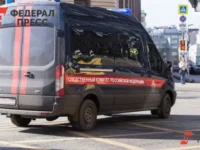 sudebnomediczinskaya ekspertiza musorovoza na poligone v peterburge vologodskaya oblast i finskij zaliv-lavi-su-0