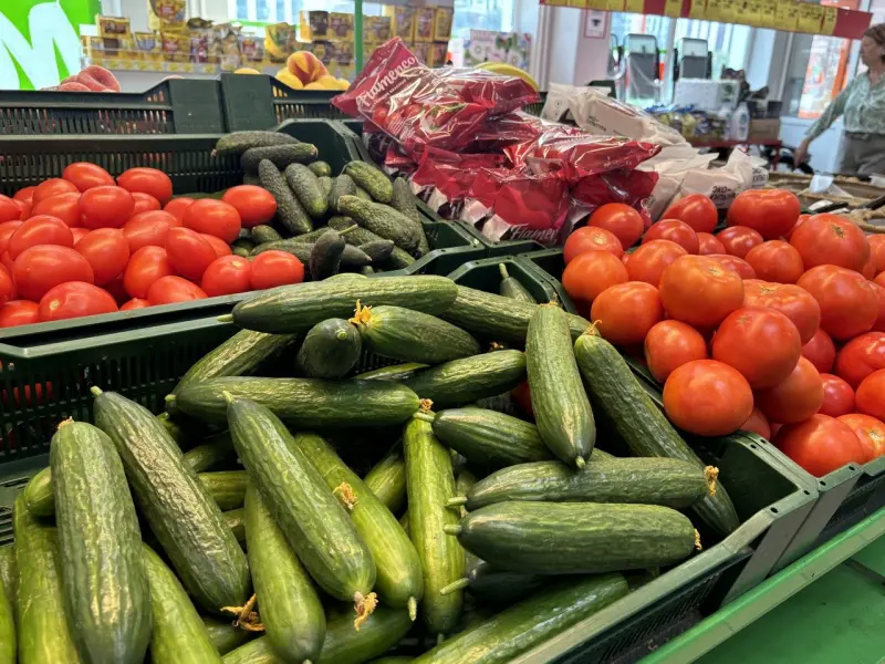 Сыр стал лидером в подъеме цены среди молочной продукции