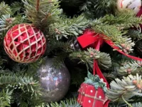 svetlana bessarab iz gosdumy rasskazala o vyhodnyh na 2026 god-lavi-su-0