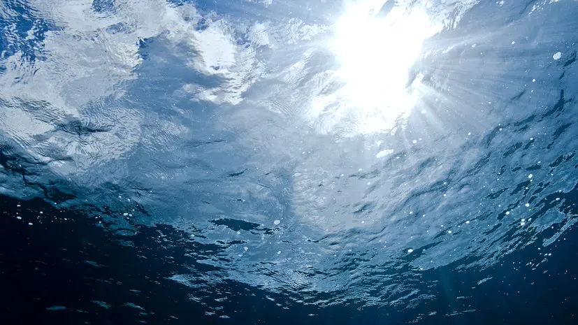 Bloomberg: идущий в Индию танкер с нефтью из России замедлился у берегов Дании