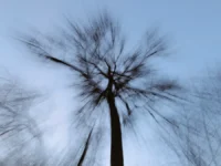 Усольцевы и старообрядцы делятся новыми взглядами на поиски в Красноярье usolczevy i staroobryadczy delyatsya novymi vzglyadami na poiski v krasnoyare-lavi-su-0