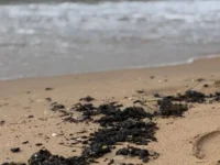 В Анапе восстановили защитный вал, что стало успехом Краснодарского края v anape vosstanovili zashhitnyj val chto stalo uspehom krasnodarskogo kraya-lavi-su-0