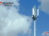 В Ульяновской области обеспечивают безопасность мобильного интернета и работу Госуслуг и Яндекса v ulyanovskoj oblasti obespechivayut bezopasnost mobilnogo interneta i rabotu gosuslug i yandeksa-lavi-su-0