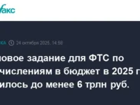 Валерий Пикалев отчитался перед Путиным о росте бюджетных поступлений ФТС valerij pikalev otchitalsya pered putinym o roste byudzhetnyh postuplenij fts-lavi-su-0