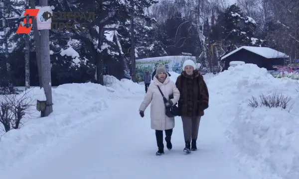 Александр Ильин поделился оптимистичным прогнозом для зимы 2024 на портале 360.ru-0