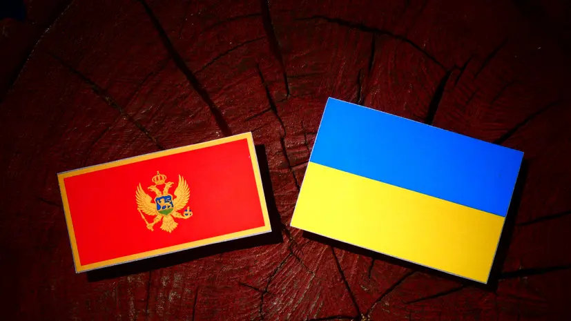 Вулин назвал позором решение Черногории об участии в обучении ВСУ