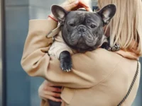 anna iz peterburga spasla buldoga almazika posle neobychnoj bedy-lavi-su-0