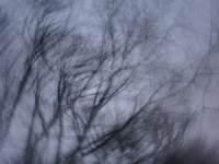 Даниил Баталов рассказал о жизни в Москве, сын Ирины Усольцевой вызвал бурю эмоций daniil batalov rasskazal o zhizni v moskve syn iriny usolczevoj vyzval buryu emoczij-lavi-su-0