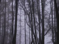 Данил Баталов о роли Сергея Усольцева и ФСБ в исчезновении семьи Усольцевых danil batalov o roli sergeya usolczeva i fsb v ischeznovenii semi usolczevyh-lavi-su-0