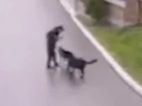 ГУ МВД России по Московской области реагирует на историю Михаила Пичугина gu mvd rossii po moskovskoj oblasti reagiruet na istoriyu mihaila pichugina-lavi-su-0