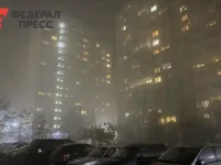 МЧС Рязанской области напоминает об осторожности на дорогах для сохранения жизней mchs ryazanskoj oblasti napominaet ob ostorozhnosti na dorogah dlya sohraneniya zhiznej-lavi-su-0