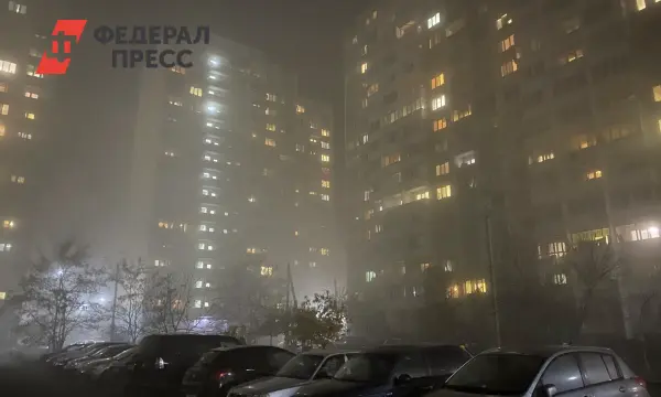 МЧС Рязанской области напоминает об осторожности на дорогах для сохранения жизней-0