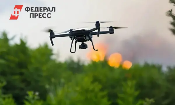 Министр обороны Латвии утверждает, что страна становится эпицентром дронов Европы-0