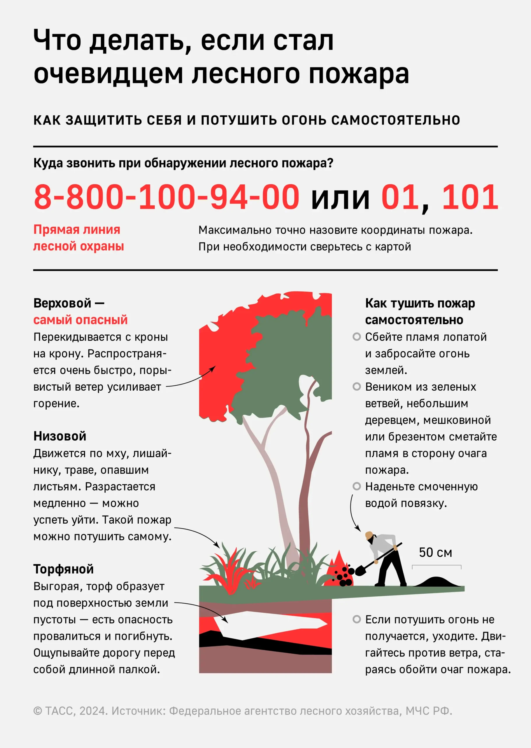Действия при лесном пожаре