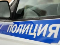 Полицейские автомобили чуть не сгорели из-за опасной интернет-игры policzejskie avtomobili chut ne sgoreli izza opasnoj internetigry-lavi-su-0