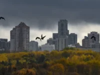 Прогноз Фобоса и Поздняковой для Москвы обещает солнечные выходные и снег prognoz fobosa i pozdnyakovoj dlya moskvy obeshhaet solnechnye vyhodnye i sneg-lavi-su-0