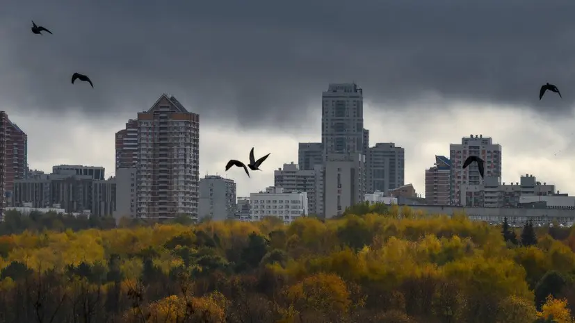 Последние аномально тёплые выходные: синоптики рассказали, когда в Московском регионе выпадет первый снег