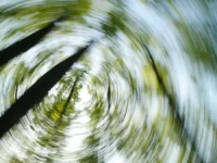 rameshvari devi iz uttarakhanda geroicheski srazilas s medvedem v rishikeshe-lavi-su-0