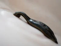 Россиянка на Шри-Ланке столкнулась с пиявками и дала советы туристам rossiyanka na shrilanke stolknulas s piyavkami i dala sovety turistam-lavi-su-0