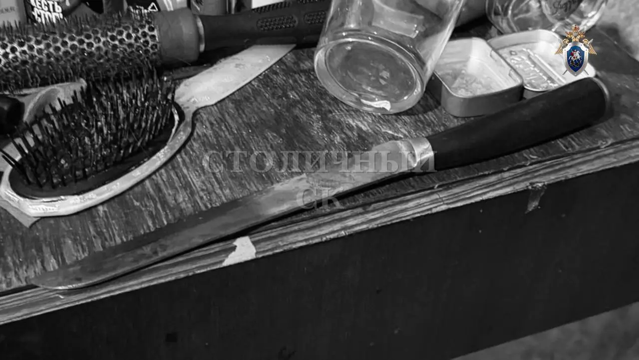 Мужчина зарезал своего товарища в квартире дома на северо-востоке столицы