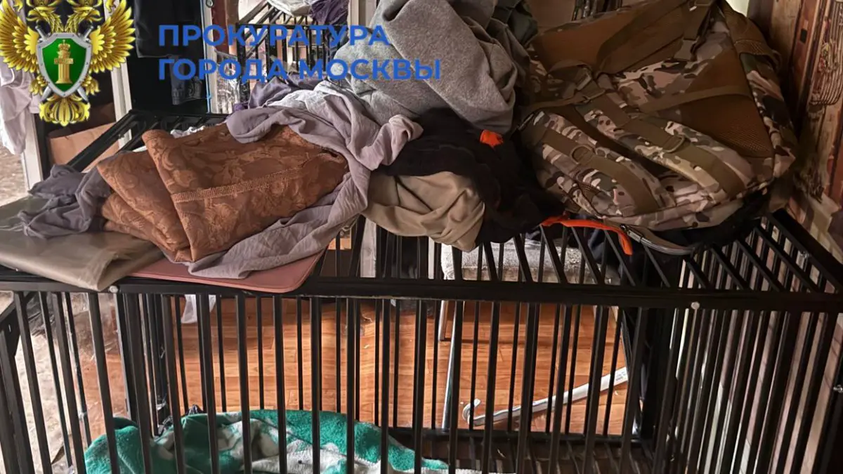 Суд рассмотрит дело москвича, натравившего собак на трех соседей в Новой Москве