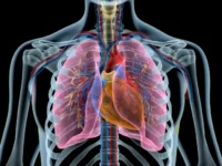 uchyonye urfu i ios sozdali perspektivnye soedineniya protiv ustojchivogo tuberkulyoza-lavi-su-0