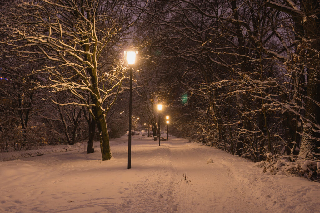Уличные фонари возле зимней дорожки