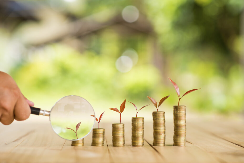 Увеличительное стекло в руке с растением, выращивающим деньги