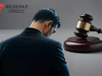 В Чувашии осудили главу ООО «ПаркСервис» за кражу 70 млн рублей на детплощадках v chuvashii osudili glavu ooo parkservis za krazhu 70 mln rublej na detploshhadkah-lavi-su-0