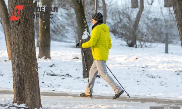 Вирусолог Новоселов озвучил рекомендации для сибиряков в поддержку иммунитета-0