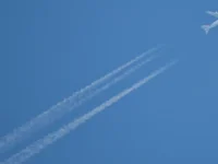 Boeing 777 Red Wings успешно приземлился в Домодедово благодаря экипажу 777 uspeshno prizemlilsya v domodedovo blagodarya ekipazhu-lavi-su-0