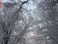 Александр Шувалов прогнозирует первые снегопады в Москве aleksandr shuvalov prognoziruet pervye snegopady v moskve-lavi-su-0