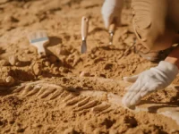 Археологи в Судане открыли захоронение древнего рабочего возрастом 4000 лет arheologi v sudane otkryli zahoronenie drevnego rabochego vozrastom 4000 let-lavi-su-0