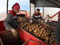 Дмитрий Патрушев рассказал о успехах России в сборе урожая картофеля dmitrij patrushev rasskazal o uspehah rossii v sbore urozhaya kartofelya-lavi-su-0