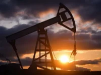 Эдуард Коложвари предупреждает об угрозах экспорту России от Индии, Китая и Турции eduard kolozhvari preduprezhdaet ob ugrozah eksportu rossii ot indii kitaya i turczii-lavi-su-0