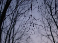 Евгений Буянов рассказал об ошибке семьи Усольцевых в тайге Красноярья evgenij buyanov rasskazal ob oshibke semi usolczevyh v tajge krasnoyarya-lavi-su-0