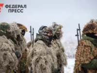 Группировка «Север» уничтожает RADA и РСЗО RAK-SA-12, демонстрируя новые прорывы в обороне ВСУ gruppirovka sever unichtozhaet i rszo 12 demonstriruya novye proryvy v oborone vsu-lavi-su-0