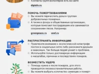 ivan sovetnikov iz rosleshoza soobshhil o rannih zimnih pozharah v rossii v 2026 godu-lavi-su-0