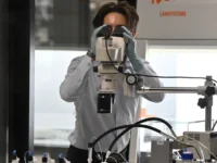 Калифорнийский университет в Риверсайде и BIPORES достигли прорыва в создании искусственной мозговой ткани kalifornijskij universitet v riversajde i dostigli proryva v sozdanii iskusstvennoj mozgovoj tkani-lavi-su-0