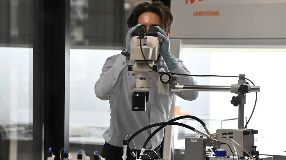 Калифорнийский университет в Риверсайде и BIPORES достигли прорыва в создании искусственной мозговой ткани-0