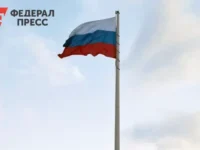 Михаил Мишустин и Радослав Сикорский обсудили курс России и дипломатию mihail mishustin i radoslav sikorskij obsudili kurs rossii i diplomatiyu-lavi-su-0