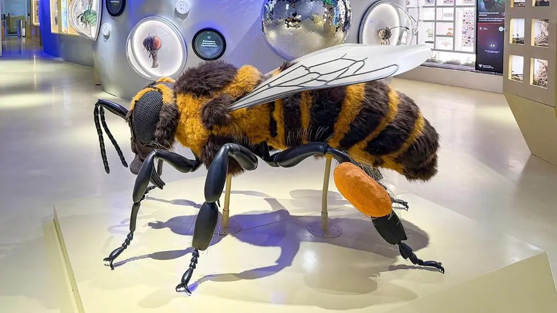 Первая в России публичная энтомологическая лаборатория открылась в «Биокластере»