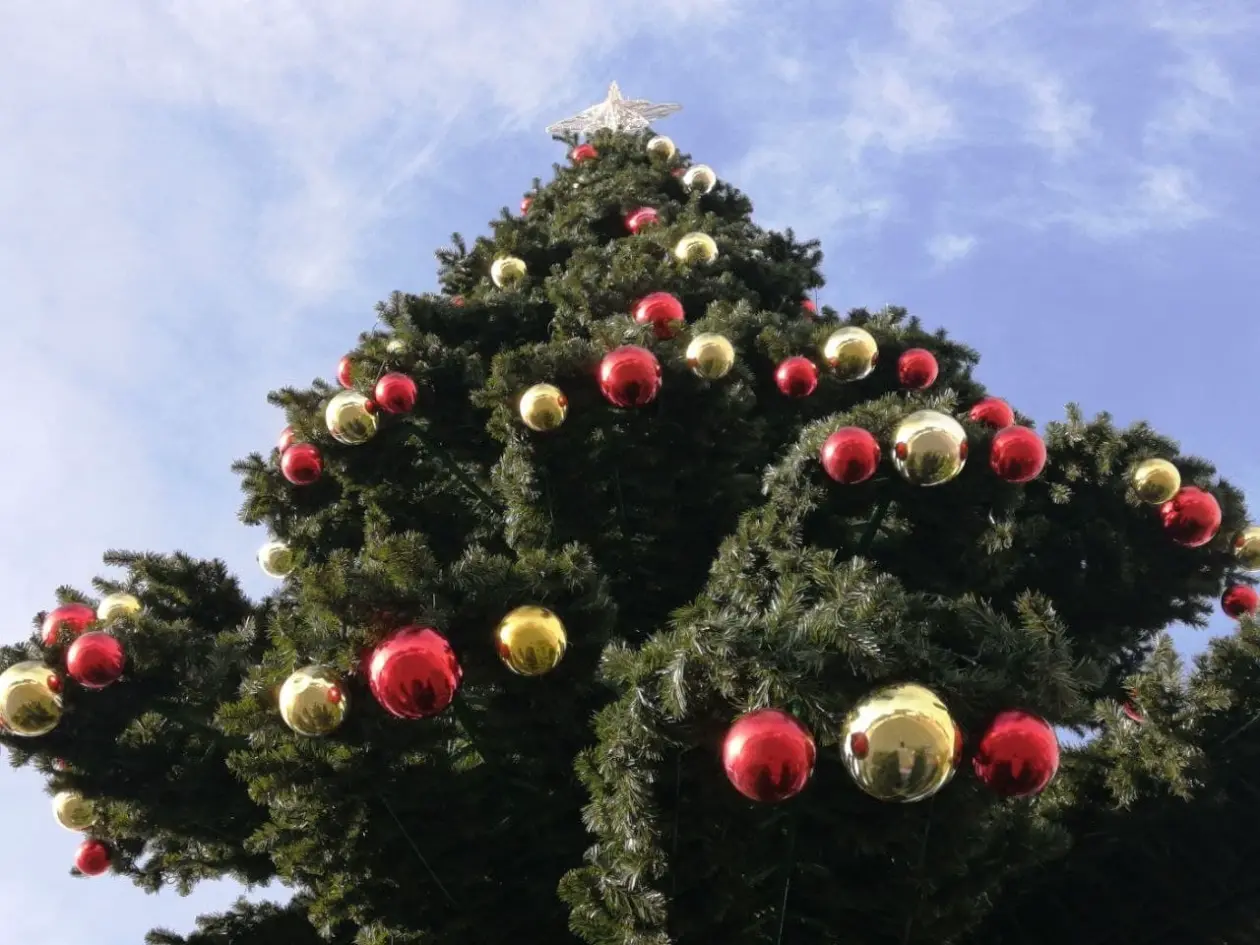 Фото: primamedia.ru