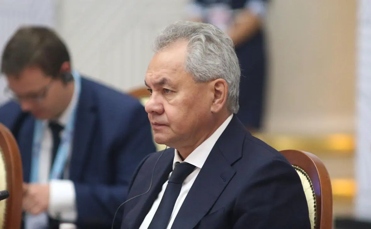 Сергей Шойгу (Максим Константинов / Global Look Press)