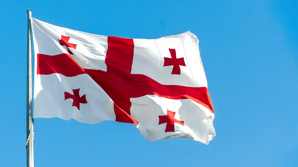 Грузия потребовала от ЕС извинений из-за сообщений о химоружии на протестах