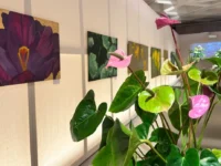 Шедевры Сурена Айвазяна и коллаборации Московского зоопарка ждут гостей ВДНХ shedevry surena ajvazyana i kollaboraczii moskovskogo zooparka zhdut gostej vdnh-lavi-su-0