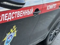 Следственный комитет России инициирует арест подозреваемых по делам Захарова и на Суздальской улице sledstvennyj komitet rossii inicziiruet arest podozrevaemyh po delam zaharova i na suzdalskoj ulicze-lavi-su-0