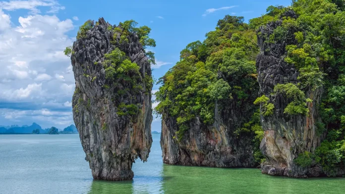 turisty na phukete stolknulis s ognennymi muravyami vo vremya otpuska-lavi-su-0