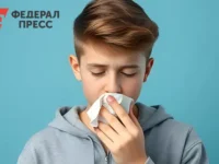 В Мурманской области укрепляют меры дистанционного обучения и поддержку стационаров в борьбе с гриппом v murmanskoj oblasti ukreplyayut mery distanczionnogo obucheniya i podderzhku staczionarov v borbe s grippom-lavi-su-0